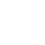fuzionicon